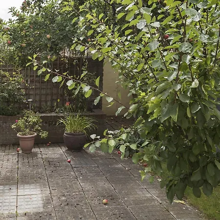 The Mews Holiday home *